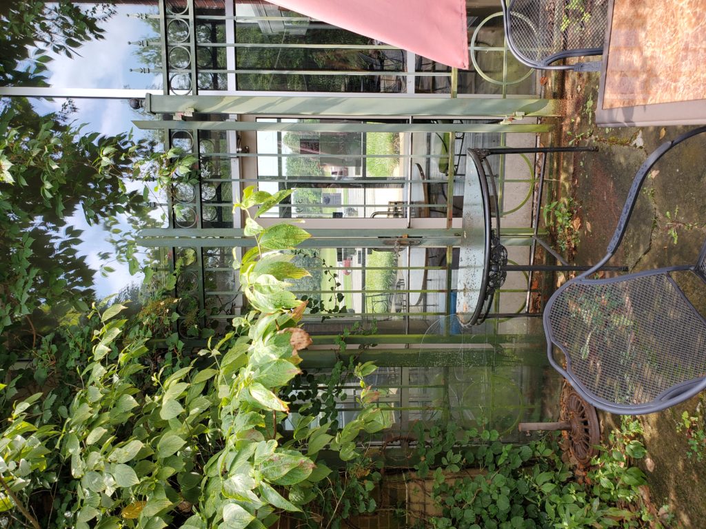 table in a garden in front of exterior glass doors