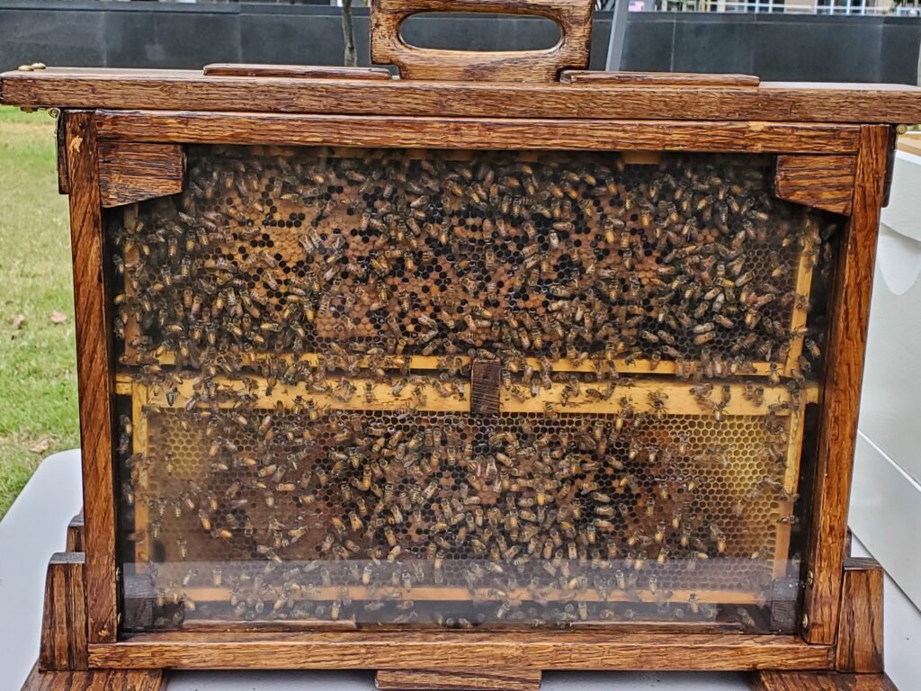Swarm of bees on a wood bee house