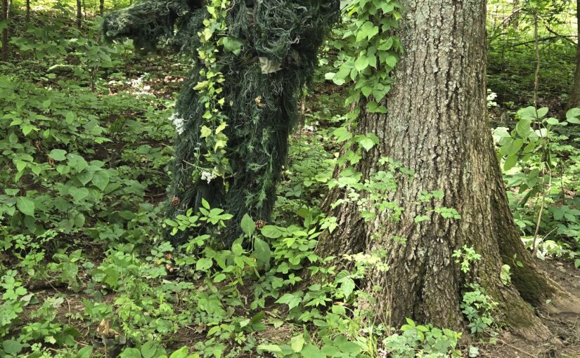 Local Renaissance Fairs in TN and KY