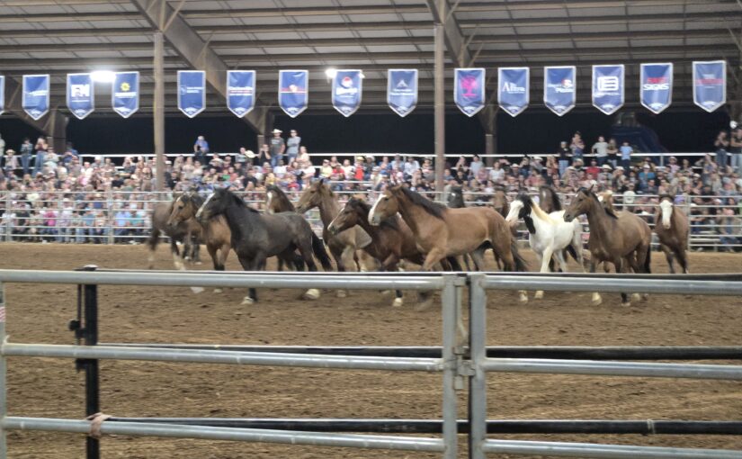 Rodeos of Clarksville, TN